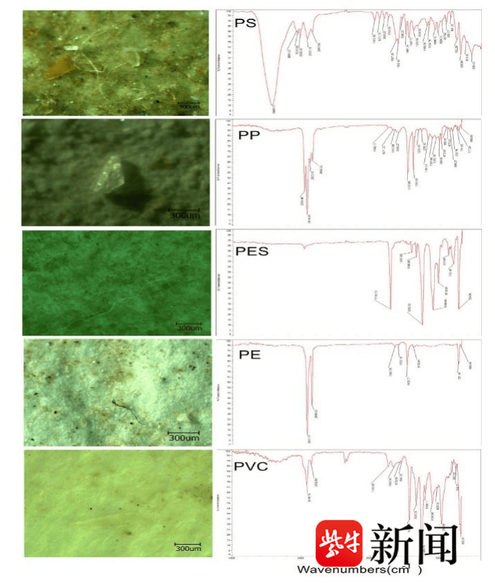 教育科学发展期刊