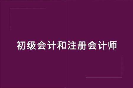 初级会计与注册会计师：先考哪个更有助于你的职业发展？